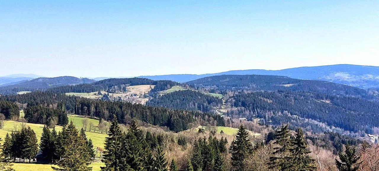 Apartman Na Kraji Lesa Janov nad Nisou Zewnętrze zdjęcie