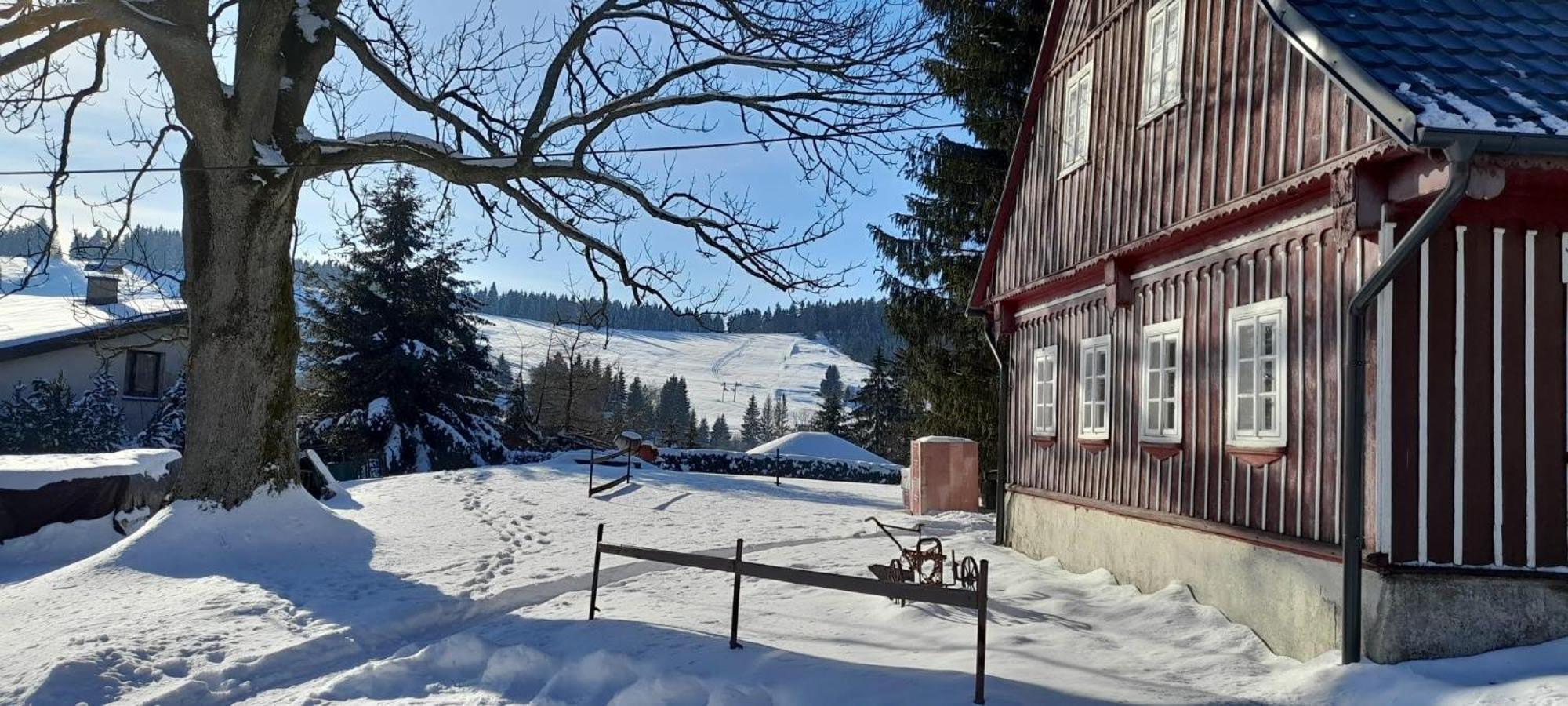 Apartman Na Kraji Lesa Janov nad Nisou Zewnętrze zdjęcie