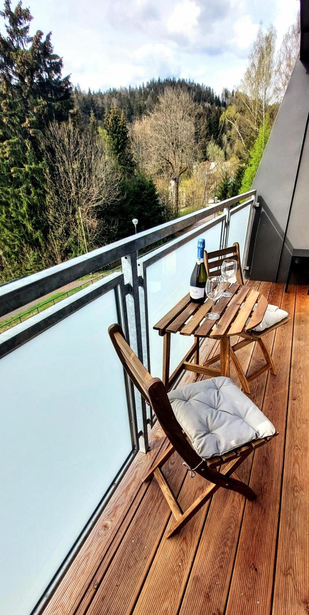 Apartman Na Kraji Lesa Janov nad Nisou Zewnętrze zdjęcie