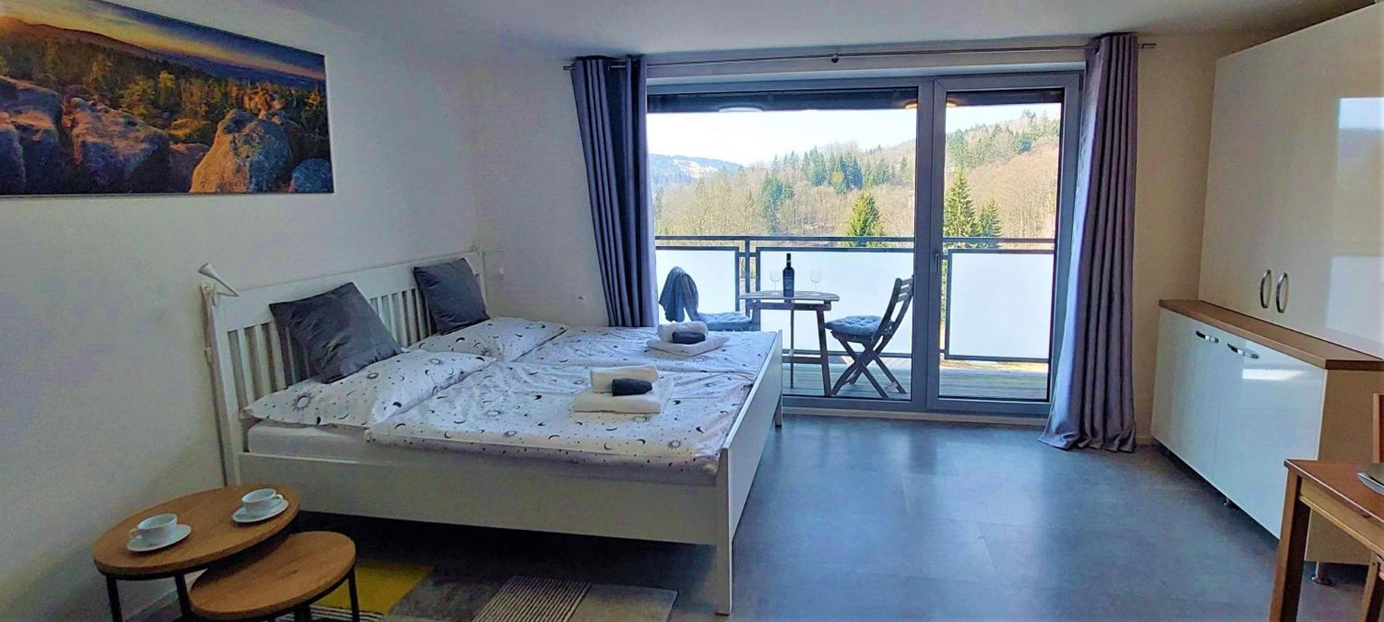 Apartman Na Kraji Lesa Janov nad Nisou Zewnętrze zdjęcie